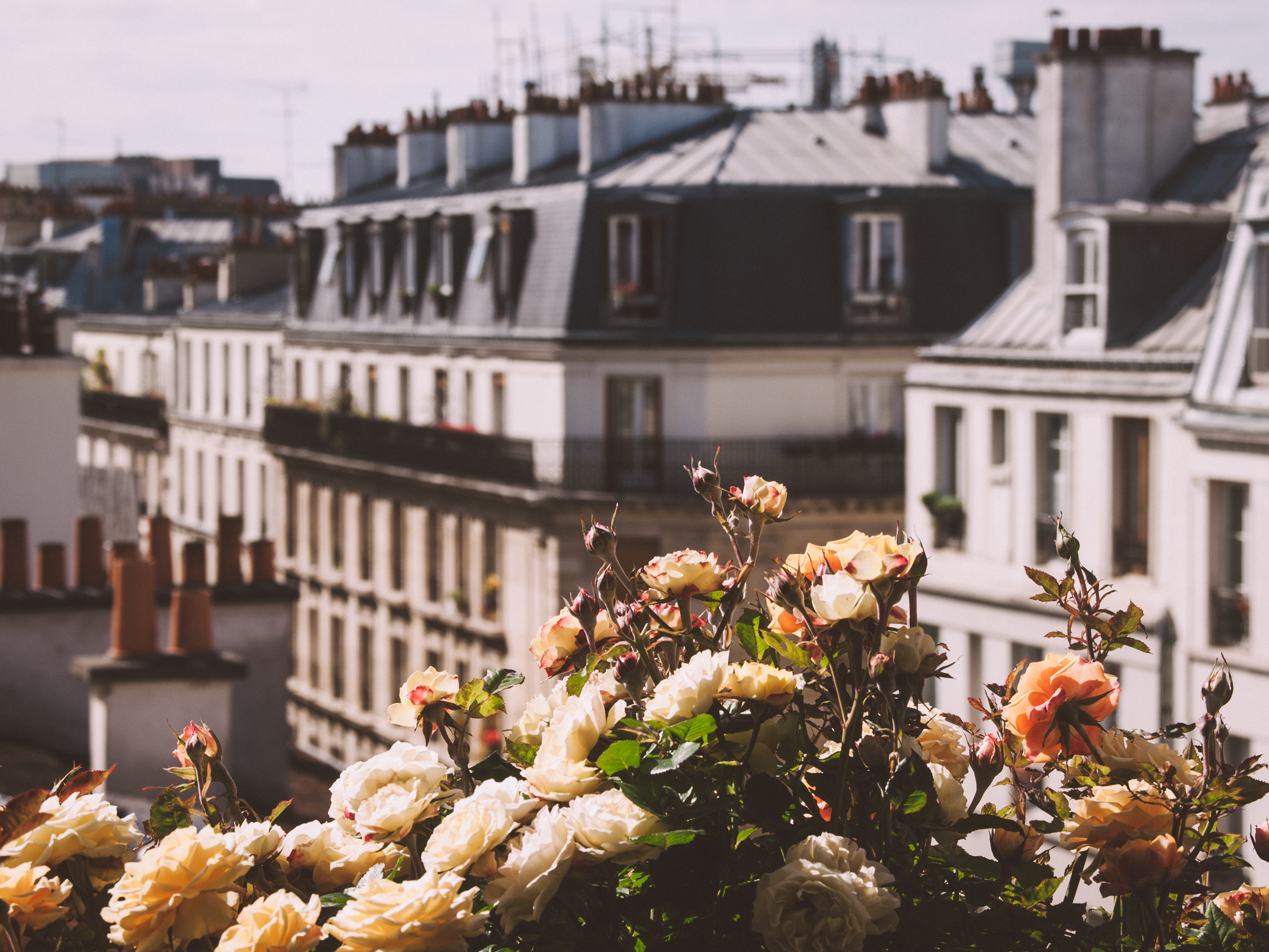 Paris Fotos - Über den Dächern von Paris