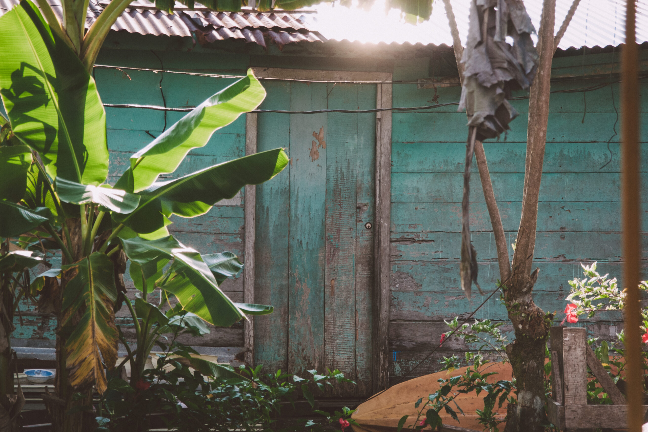 Costa Rica Tortuguero