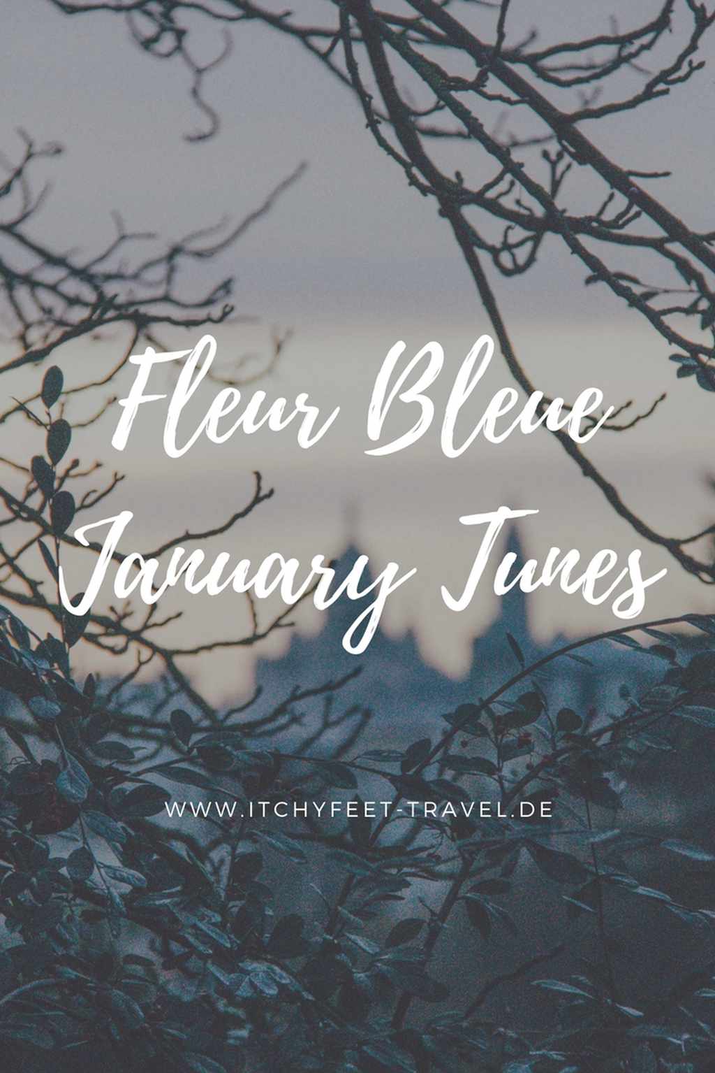 Fleur Bleue January Tunes
