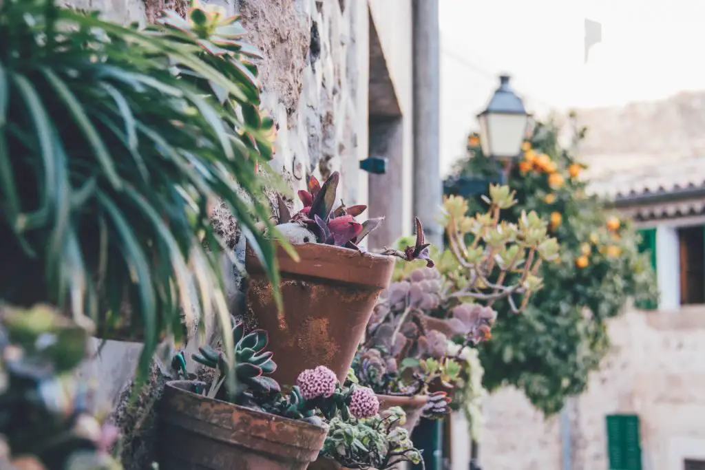 Mit Blumen und Pflanzen geschmückte Fassaden in Valldemossa.