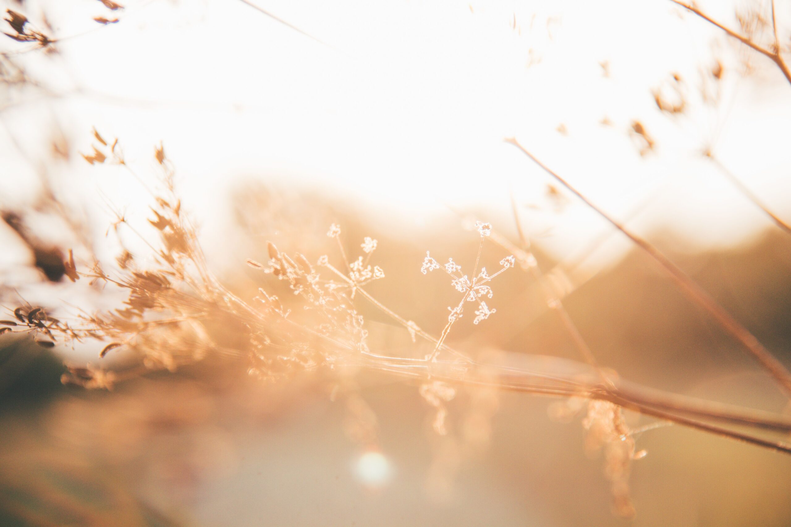 Itchy Feet Blog Spotify Playlist Midsommar Tunes