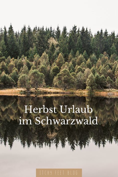 Tipps für ein Wochenende im Schwarzwald