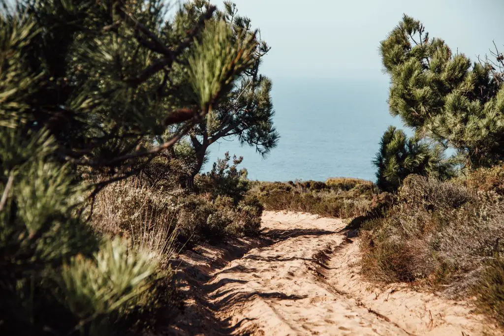 Küstenwanderweg an der Algarve